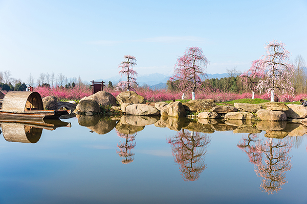 问花村2.jpg