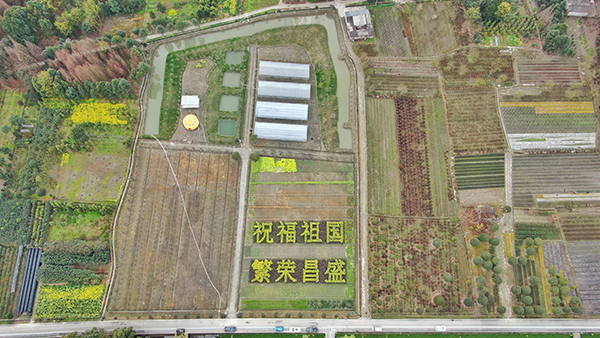 2七里诗乡.jpg