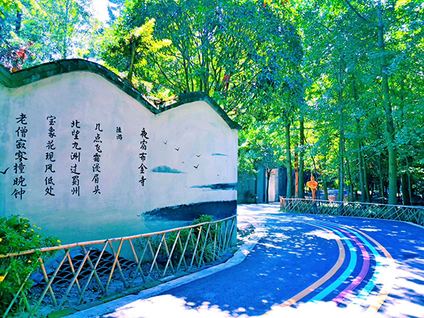 川西音乐林盘--游步道.jpg
