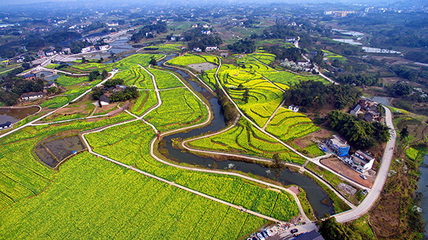 黄庄粮油科技示范园.jpg