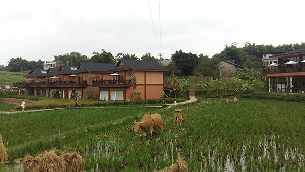 雨仙农谷稻田酒店.jpg