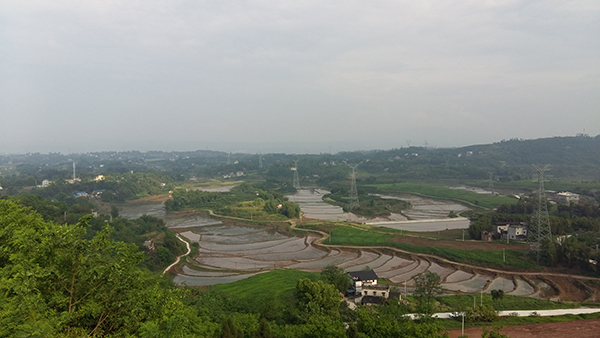 雨仙农谷美景.jpg