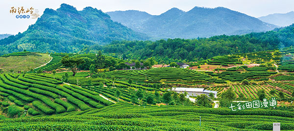 13七彩田园漫道.jpg
