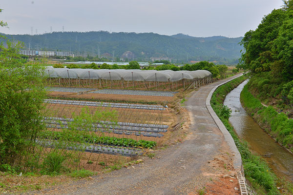 14七彩田园漫道.jpg