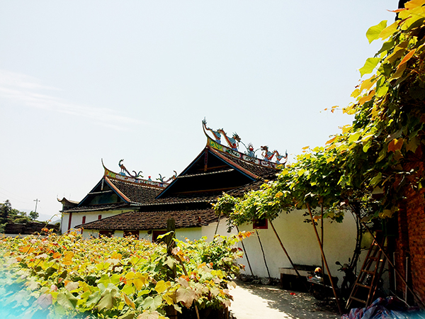 3.特色建筑-溪塔蓝氏宗祠.jpg