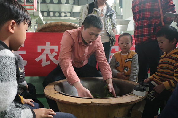 亲子游制茶照片.jpg
