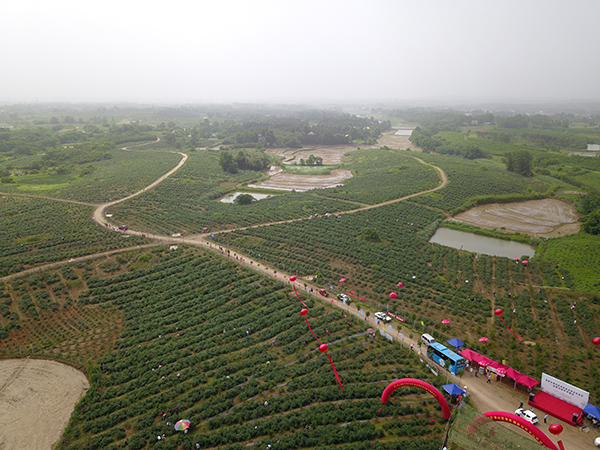 鑫绿源蓝莓基地.jpg