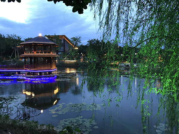荷塘夜景.jpg