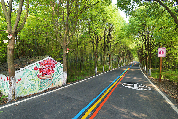 1号公路爱情的套路.jpg