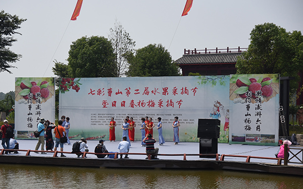 日日春杨梅节.JPG