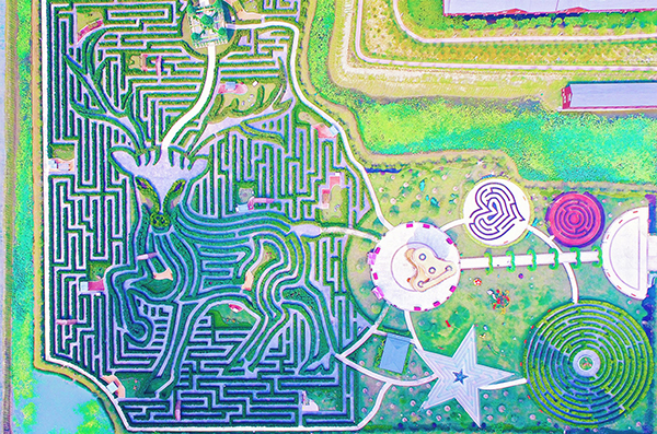 麋鹿主题迷宫.jpg