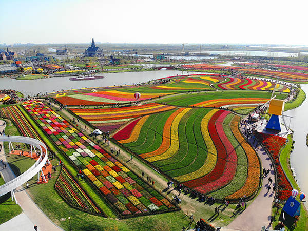 鸟瞰图.jpg