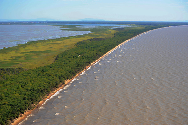 大小兴凯湖之间的湖岗.jpg