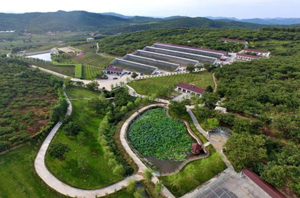 景区鸟瞰图.jpg
