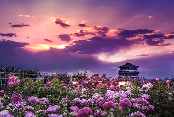 南山旅游景区 (2).jpg