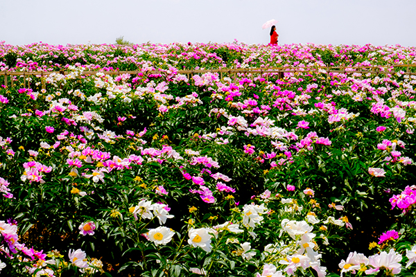 南山旅游景区.jpg
