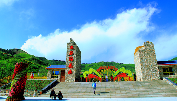 边麻沟花海（景门）.JPG