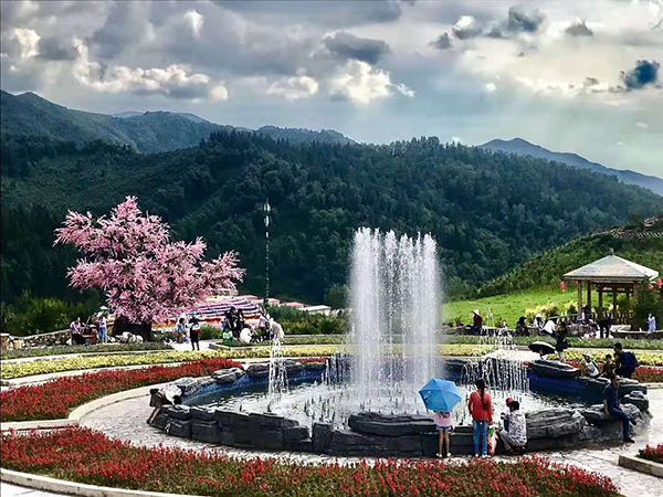 边麻沟花海（中心花坛）.jpg