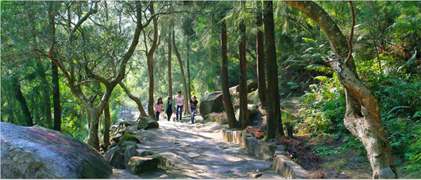 精品点3：东湖村.png