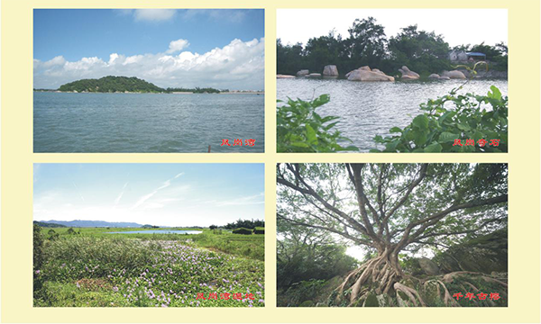 精品点4：凤岗村.png