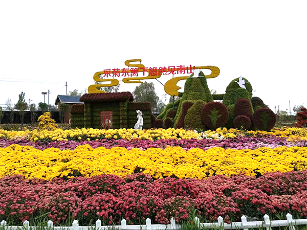 花卉小镇花海景观3.png