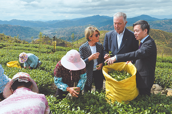 发源地--茶乡海外客人.png