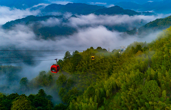 梅花山1.jpg
