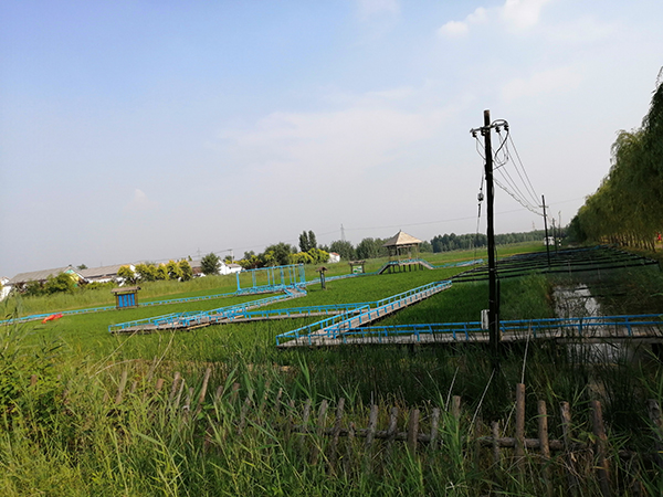 6、稻田钓蟹钓龙虾.jpg