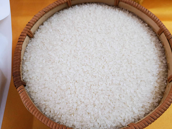 9、产品大米.jpg
