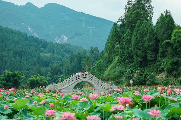 2.重庆市武隆区大田湿地人家拱桥.jpg