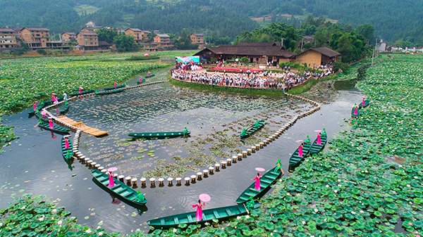 3.重庆市武隆区大田湿地人家荷花节.jpg