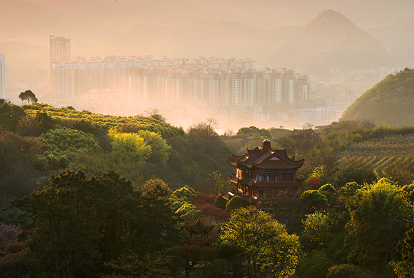 奇香园_DSC6678 (1).jpg