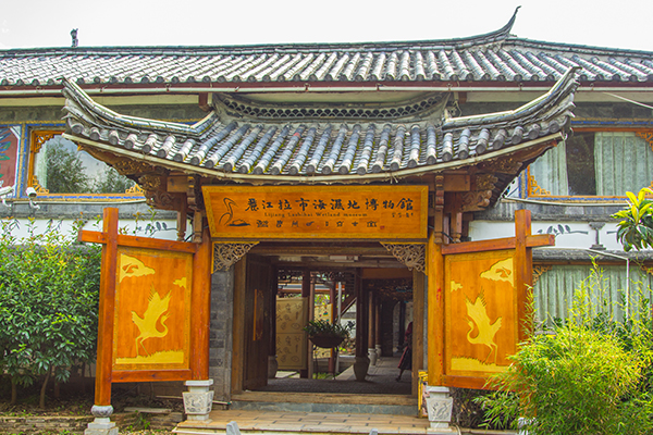 9、湿地博物馆.jpg