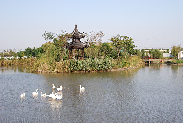 池塘美景.jpg