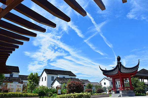 莲湖美景.jpg
