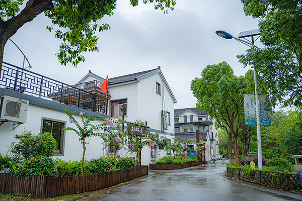 蔡浜民居.jpg