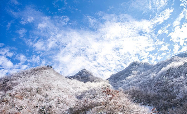 瓦窑岗农庄铜安寨雪景.jpg
