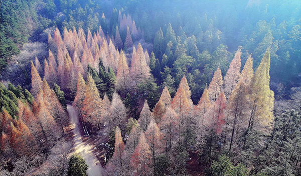 2黄柏山.jpg