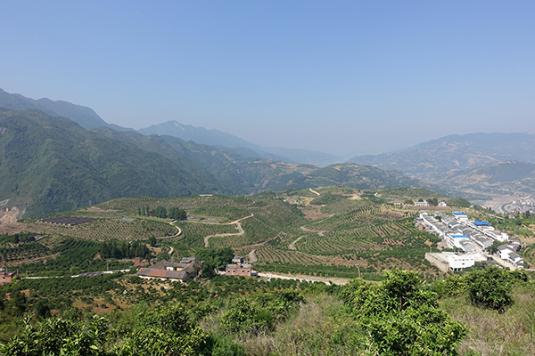 2奉节脐橙果园.jpg