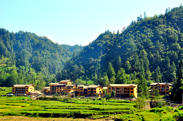 青山绿水向家坝.JPG