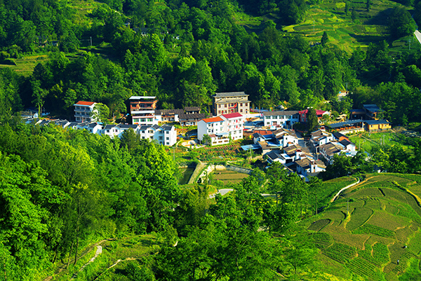 乡村.jpg
