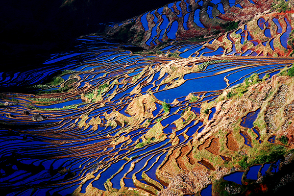 米易梯田5.JPG