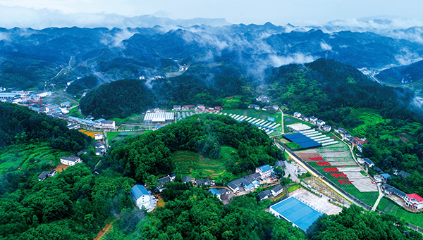 1.平曾蔬菜现代农业园核心区.jpg