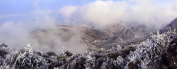 5-5雪后梅花山.jpg