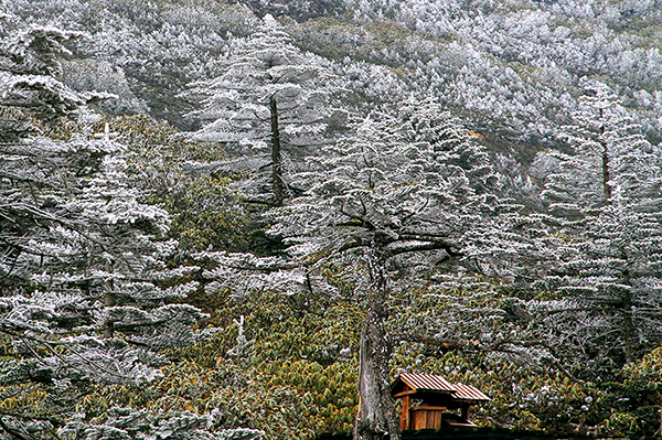 轿子山1.jpg