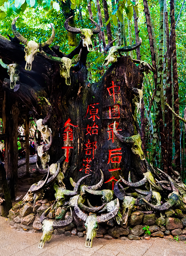 勐角乡公丁村.jpg