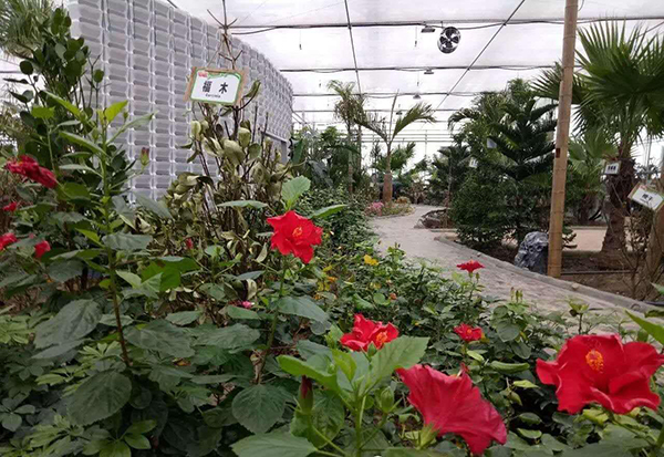 图七、第七师胡杨河市旅游文化产业发展有限公司一二九团玖恒分公司科普植物园.jpg