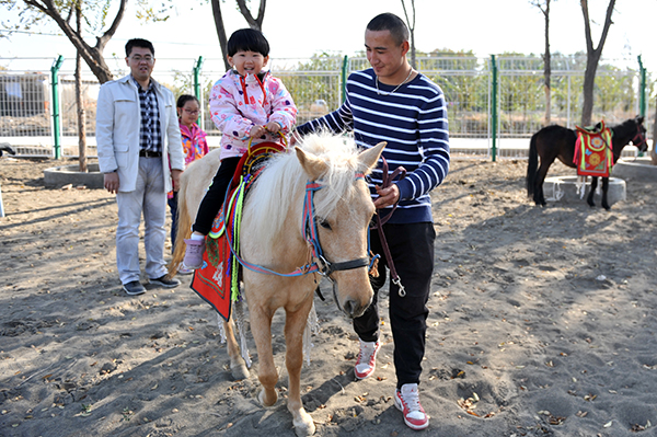 矮马基地.jpg