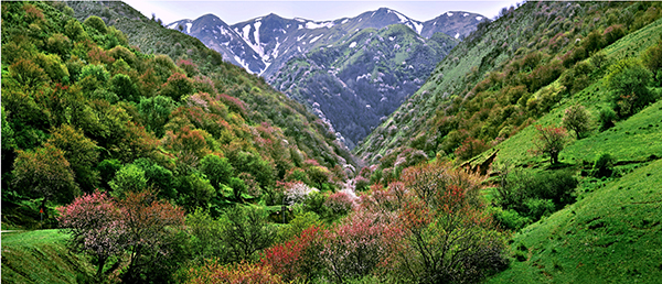 野核桃沟风光.JPG