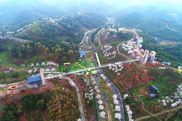 浔龙河樱花谷.JPG
